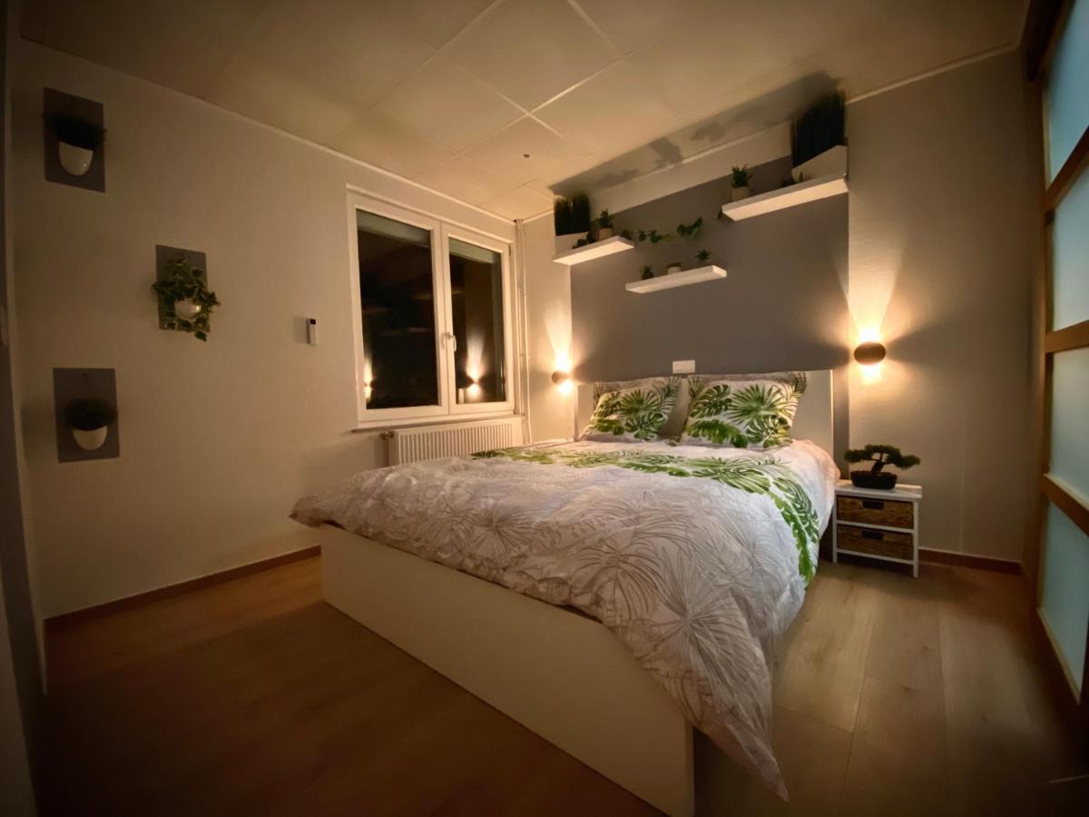 Logements Equipes A Onnaing Avec Espace Balneo En Option Proche Toyota, Autoroute Et Valenciennes Екстериор снимка